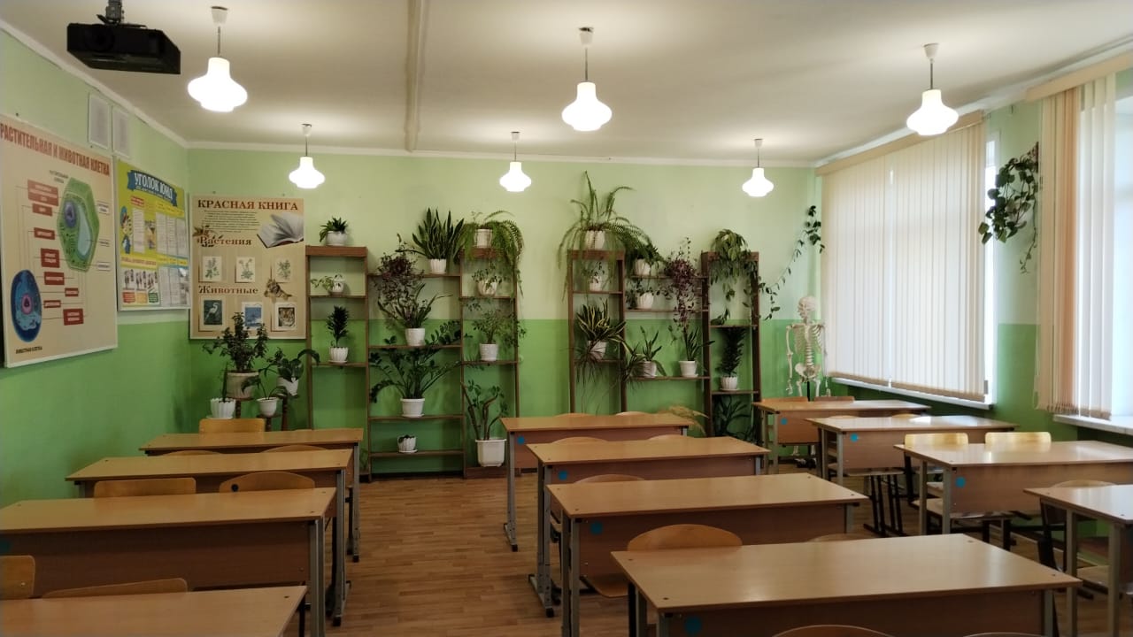 Кабинет №33 Кабинет №33.